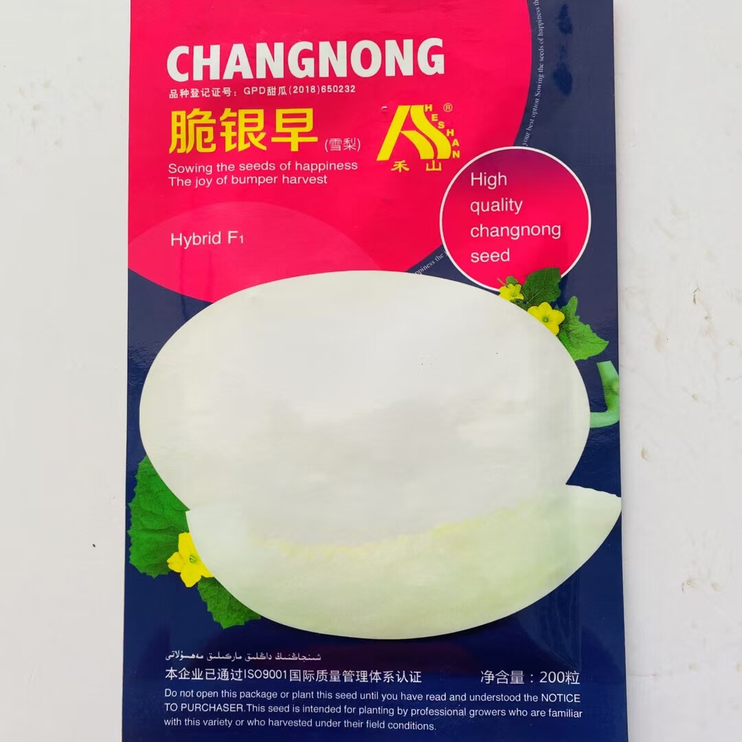 脆银早雪梨甜瓜种子新疆甜白皮洋香瓜籽高产四季大棚露天水果种孑