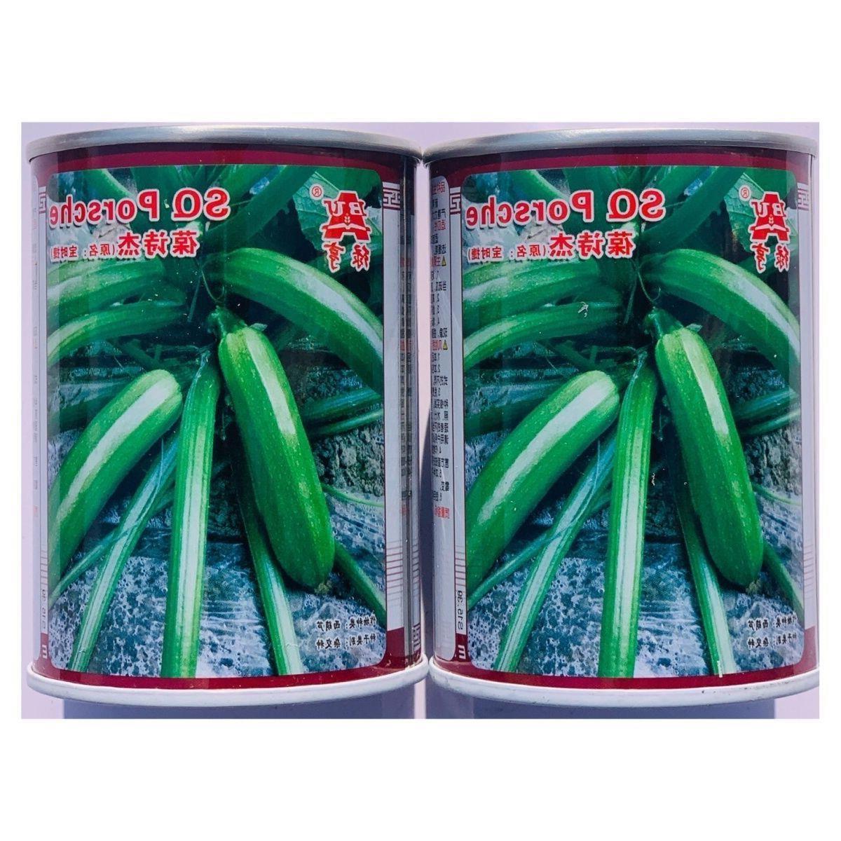 绿亨葆诗杰西葫芦种子中早