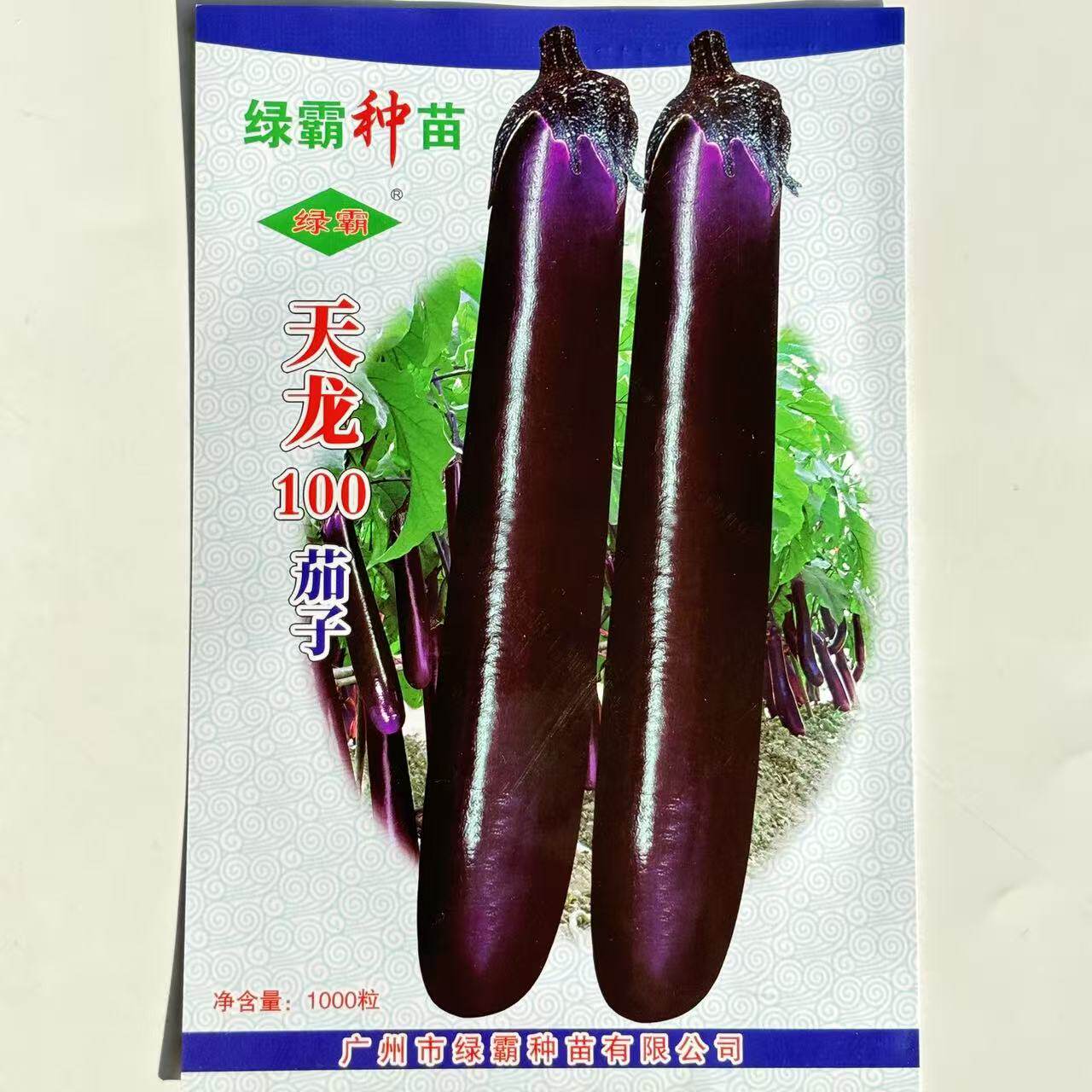 天龙100 紫红长茄种子中早熟果皮深紫红色紫萼抗病耐贮运大田种孑