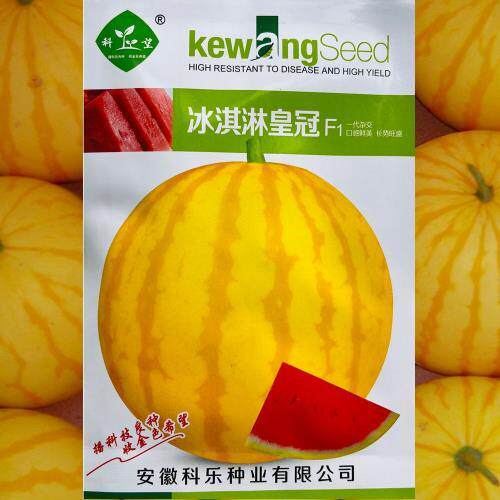 科乐冰淇淋皇冠F1西瓜种籽高产抗病黄皮红瓤麒麟薄皮礼品西瓜种子
