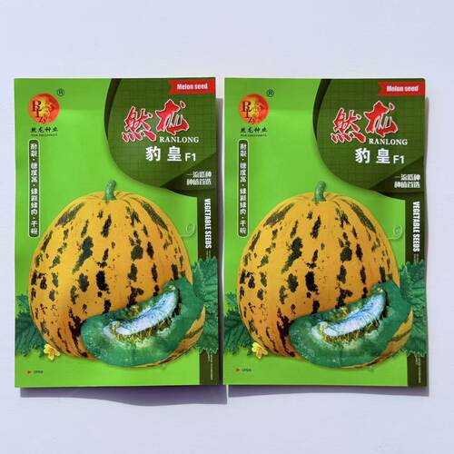然龙豹皇甜瓜种子薄皮八里香类型绿瓤绿肉甜香耐裂超甜香瓜种子孑