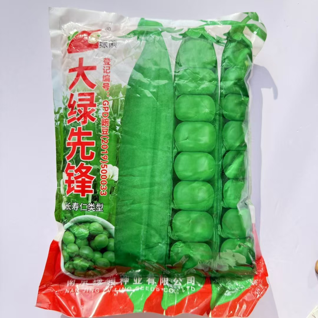 绿领大绿先锋豌豆种子长寿仁类型高产稳产四季播种豌豆荷兰豆种籽