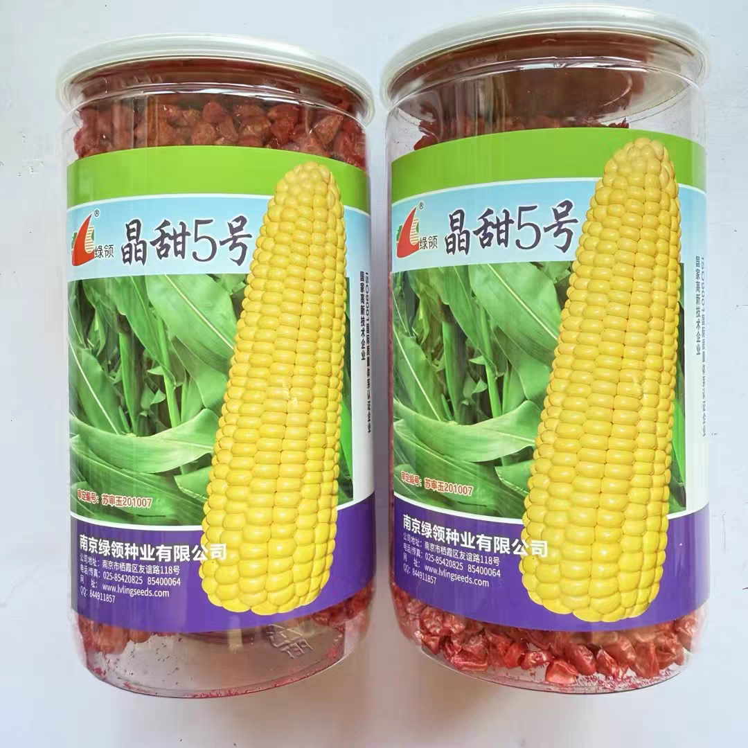 绿领晶甜5号玉米种子鲜食水果玉米种籽抗病高产南方北方春季秋播