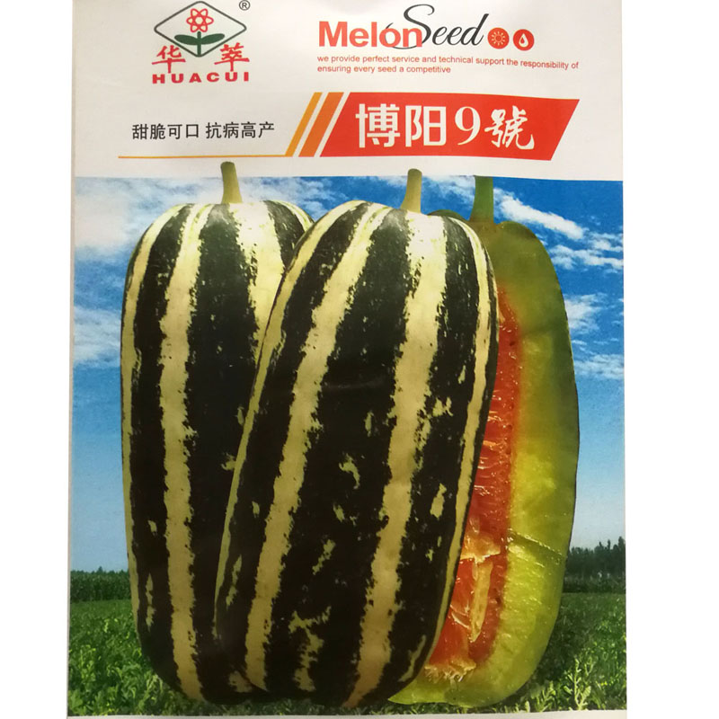花皮酥瓜甜瓜香瓜种子博阳9号酥