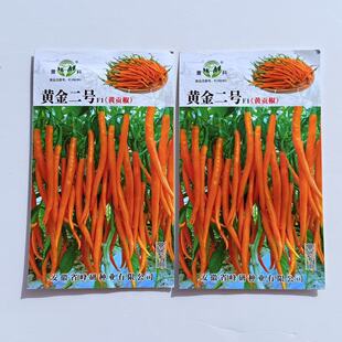 黄金二号黄贡椒种子中早熟抗病高产脆嫩特辣春秋播辣椒种籽线椒种