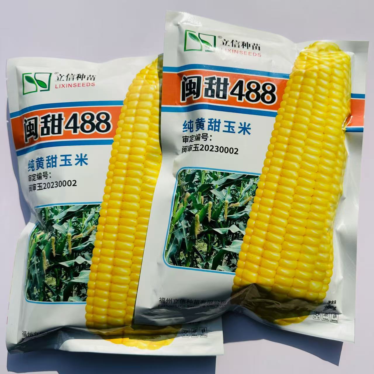 闽甜448纯黄甜甜玉米种子脆甜水果玉米抗病高产农家大田春秋播种