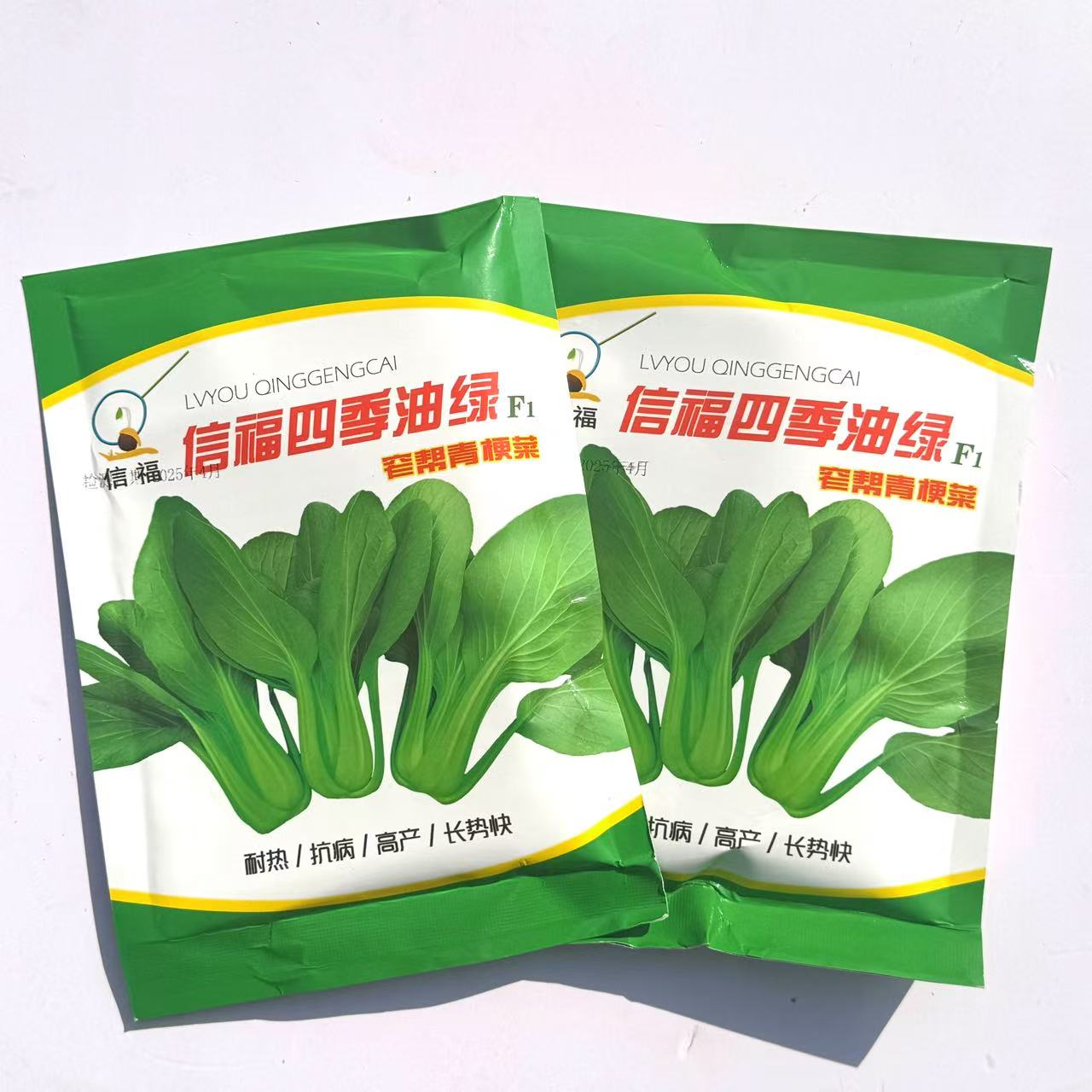 信福四季油绿青梗菜耐高温耐热抗热油菜种子窄帮大叶面青梗菜种籽