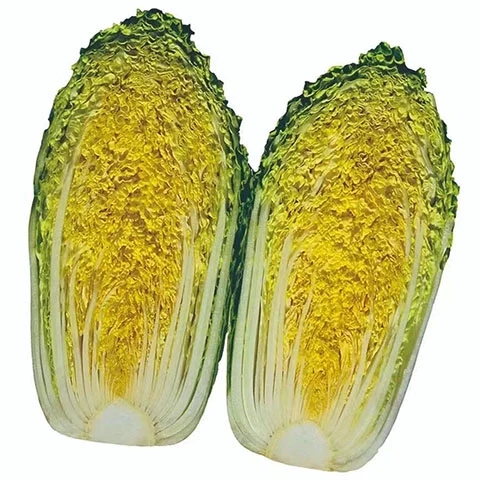 福锦黄心大白菜种子高产抗抽苔南韩春秋两季农用大田种植蔬菜种籽