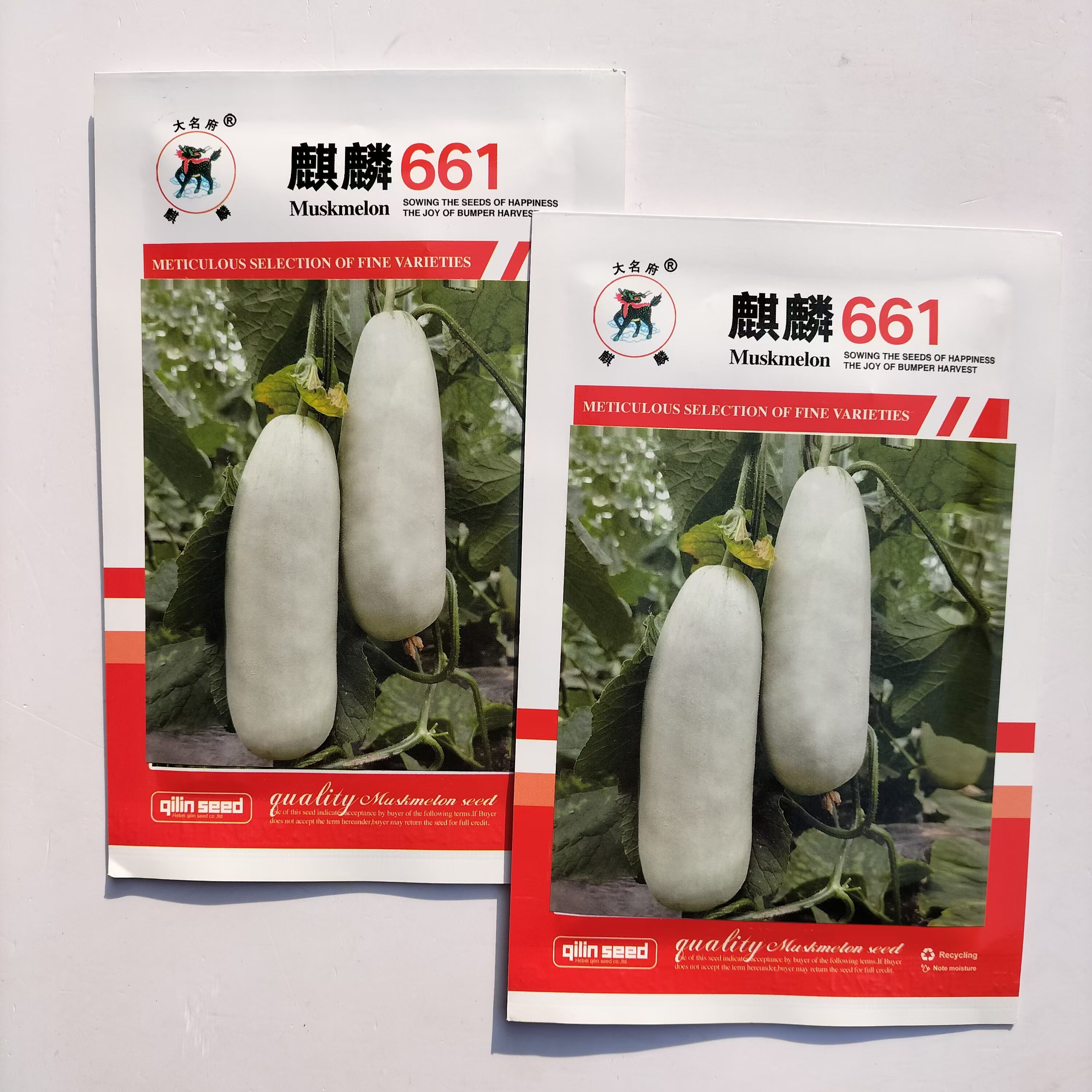 麒麟661 羊角蜜甜瓜种子 口感好薄皮酥甜高产抗病商品性佳 春季播