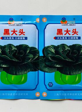 黑大头菜籽青菜种子原装大叶黑叶油亮矮脚苏州青上海青菜蔬菜种籽