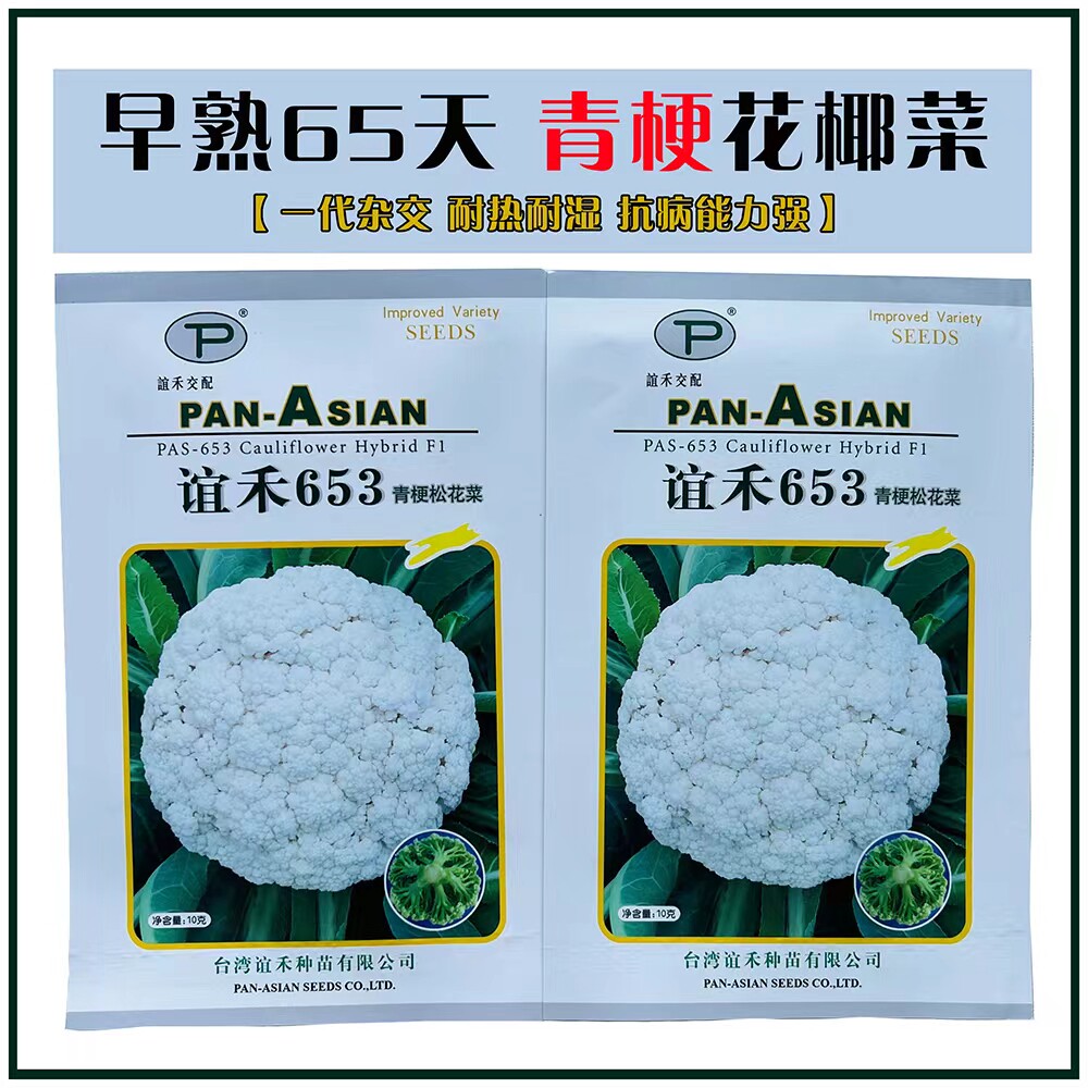 谊禾653松花菜种子台湾进口早中熟青梗花椰菜松大白菜花种耐湿热