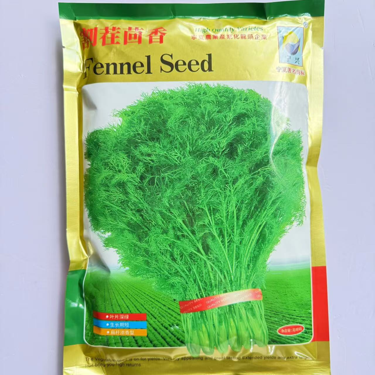 【茴香种子】割茬茴香种子非转基因种籽阳台盆栽春夏秋冬蔬菜种子