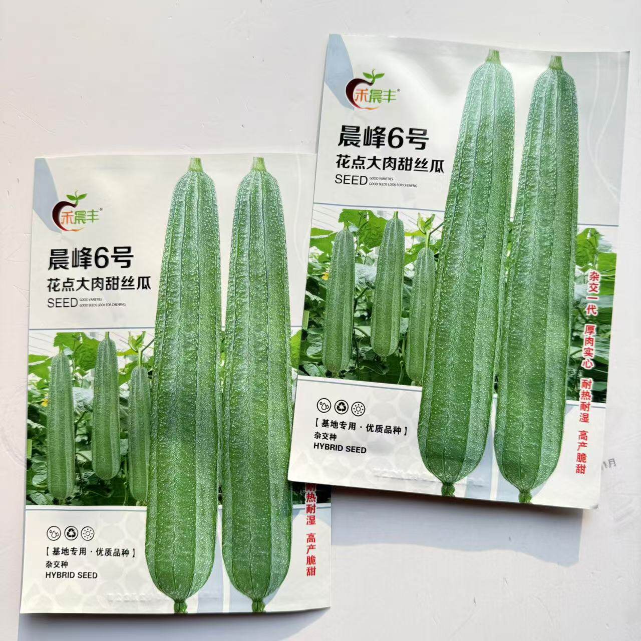 海南晨峰晨丰6号大肉花点棱丝瓜种子杂交耐热耐寒肉厚味甜产量高