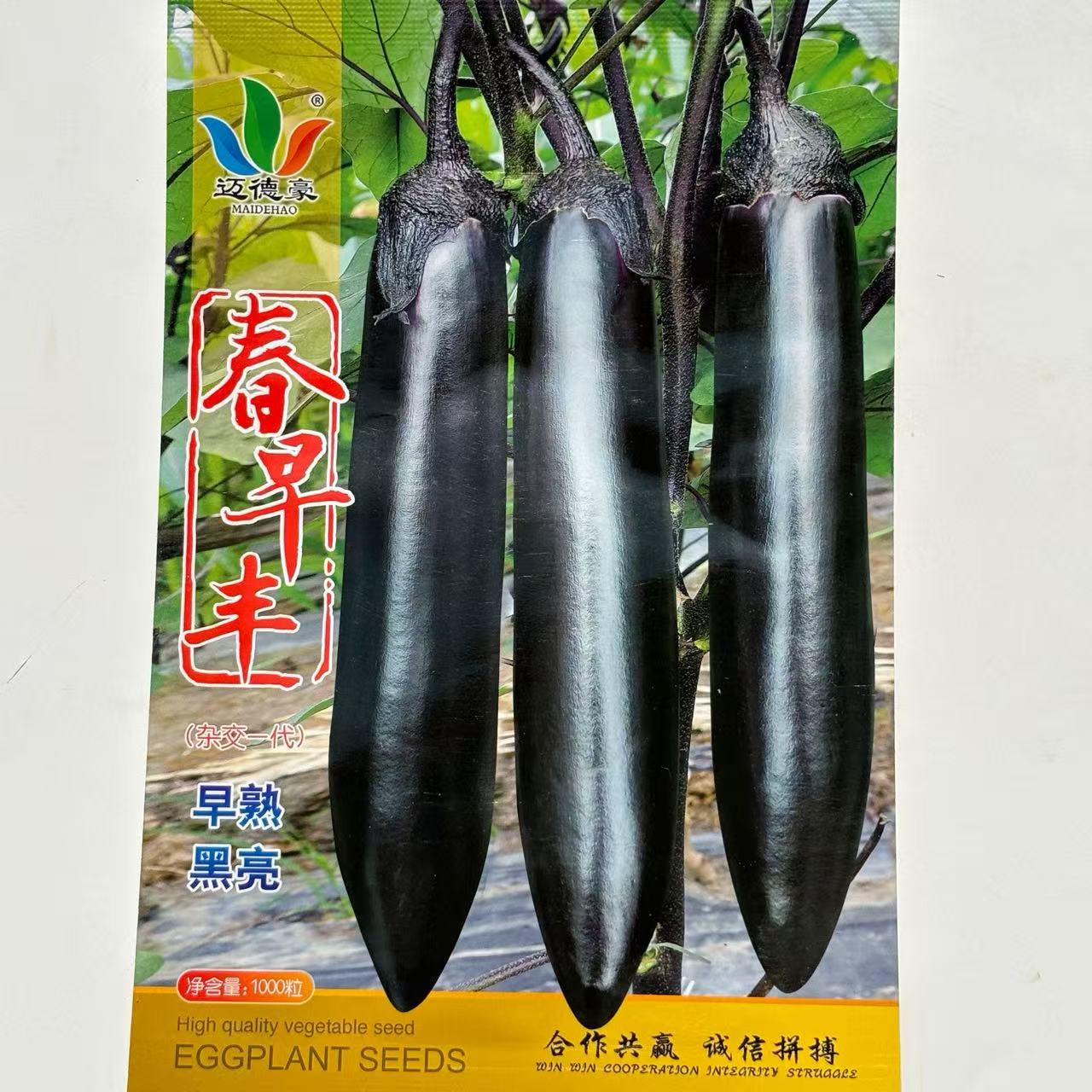 春早丰黑长茄子种子杂交黑亮果肉淡绿色皮薄籽少肉质细腻甜糯正品
