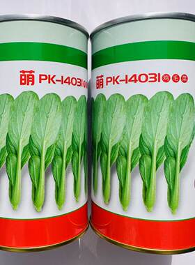 萌PK-14031鸡毛菜种子生长快浓绿叶鸡毛菜种子夏季耐热鸡毛菜种子