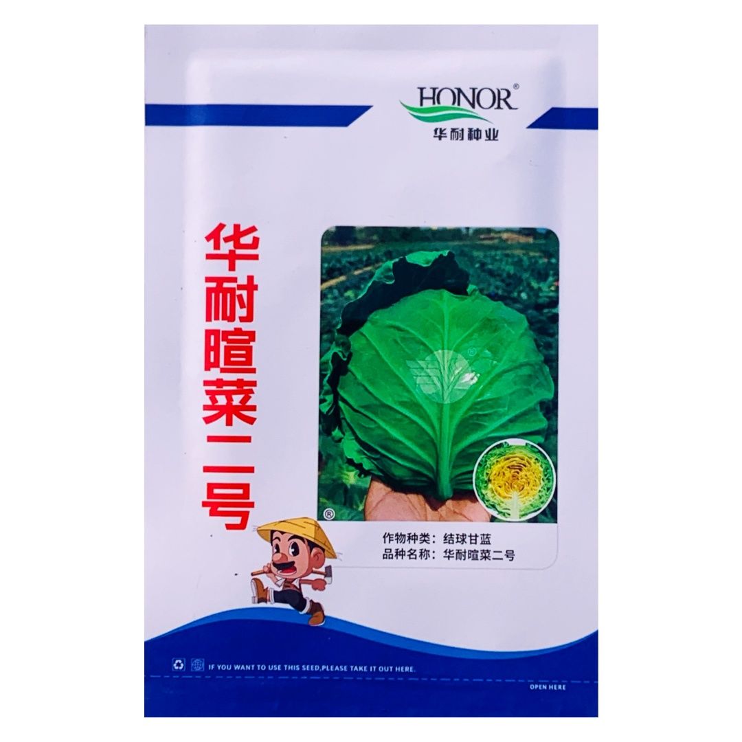 华耐暄菜二号甘蓝种子早熟结球甘蓝圆球形圆白菜大头菜卷心菜种籽