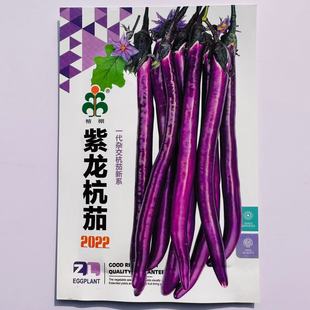 蔬菜瓜果茄子种子大全紫红长茄种籽杭茄籽种长茄子籽种大田种高产