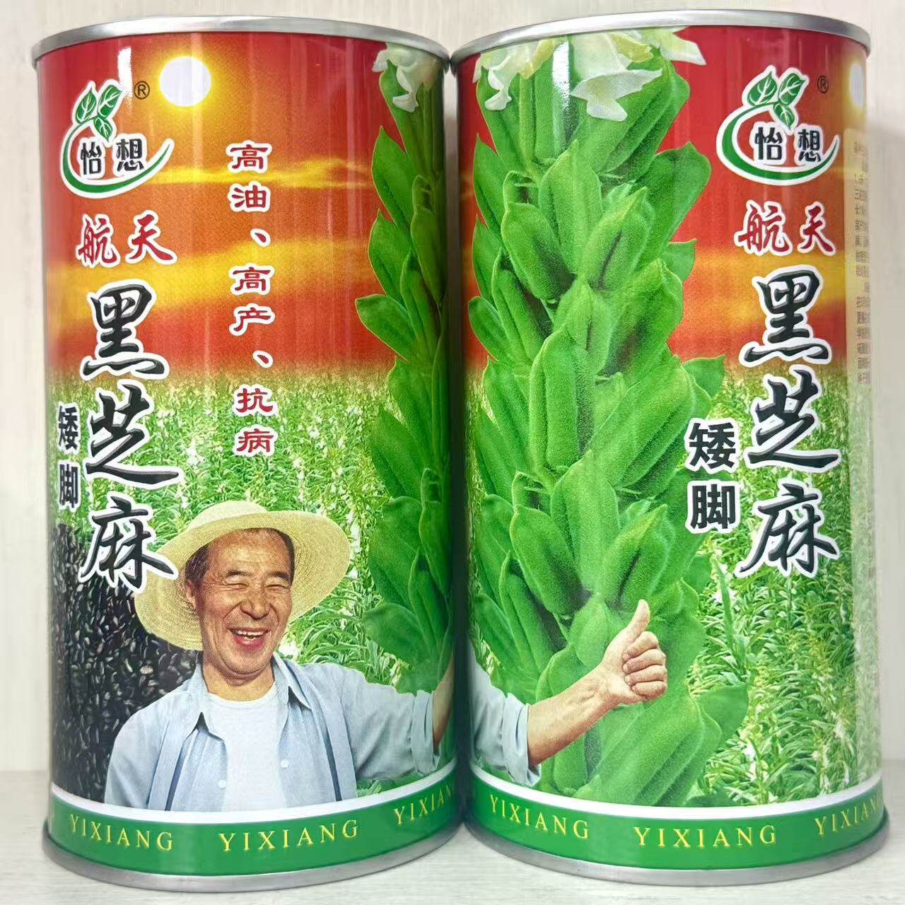 原装正品航天矮脚黑芝麻种子高油高产抗病含油高优质大田基地用种