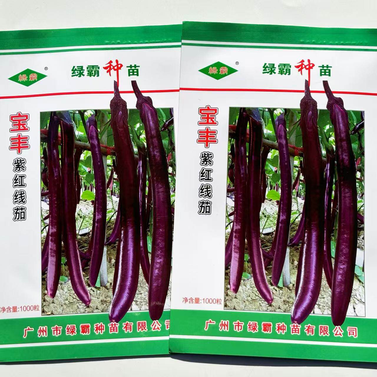 绿霸宝丰紫红线茄种籽高产抗病春秋细条紫红长茄种子原装正宗