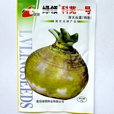 绿领科芜一号洋大头菜种子土苤兰苤蓝洋疙瘩洋蔓菁芜菁可腌制咸菜