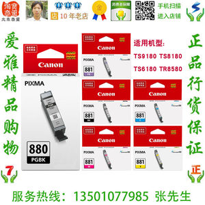 佳能 Canon PGI-880PGBK TS8380 TS8280 TS6380 TS6280原装墨盒