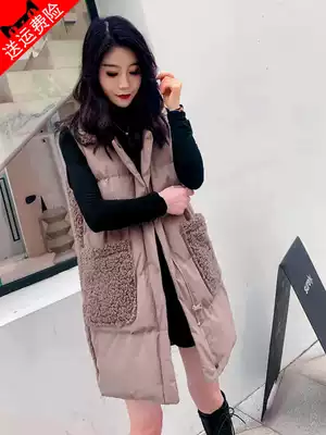 2021 autumn and winter New down cotton vest female Korean version of long fashion vest horse clip waistcoat