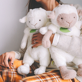 小羊热水袋暖宫防爆充电注水毛绒暖手宝可爱玩偶萌安抚抱睡娃娃