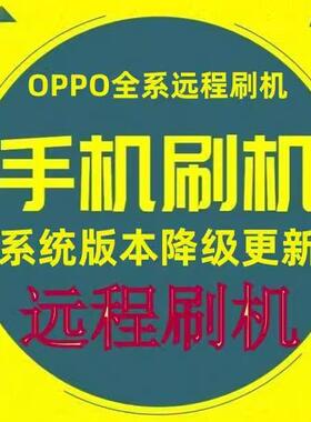 真我 Q3 Q3S GT大师探索版 OPPO RENO7 Find X3 k9s 远程刷机