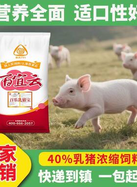 百宜饲料46比保育浓缩料乳猪宝20kg小猪用增肥浓缩饲料膨化大豆