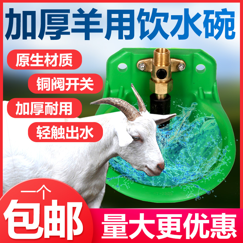 羊用专用饮水碗羊自动饮水器羊喝水槽羊饮水槽喂水养羊用的设备