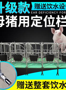 母猪限位栏落地式定位栏产床保育两用养猪场设备带复合板漏粪板