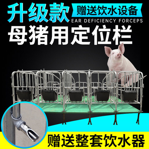 限位栏落地式复合板养猪场两用