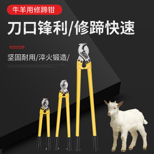 牛羊修蹄钳兽用剪脚趾神器猪用修蹄剪刀养殖场多功能修蹄专用工具