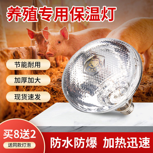 猪博士保温灯小鸡仔猪养殖取暖灯