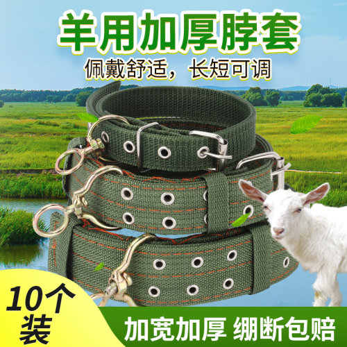 加粗栓羊脖套大型犬狗拴脖圈绳子