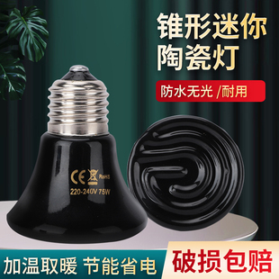 芦丁鸡保温灯鹦鹉爬宠宠物陶瓷无光加热灯育雏饲养箱鸟用保暖灯泡