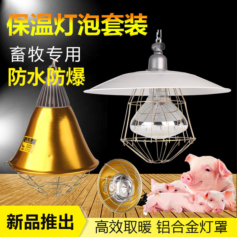 仔猪保温灯套装养殖取暖灯小鸡加热灯泡猪用防水防爆烤灯保暖灯泡,畜牧/养殖物资,畜牧/养殖器械,淘宝优惠券,粉丝福利购,淘宝优惠卷