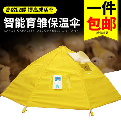 育雏保温箱孵化机养鸡