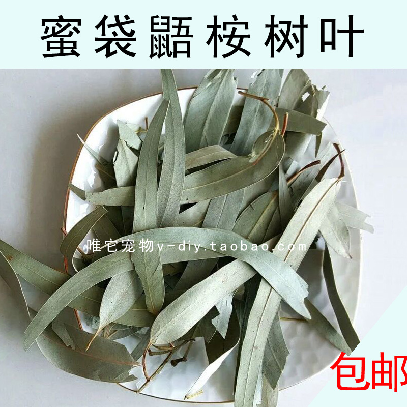 包邮 厂家直销蜜袋鼯垫材 零食粮食 烘干桉树叶尤加利叶500克