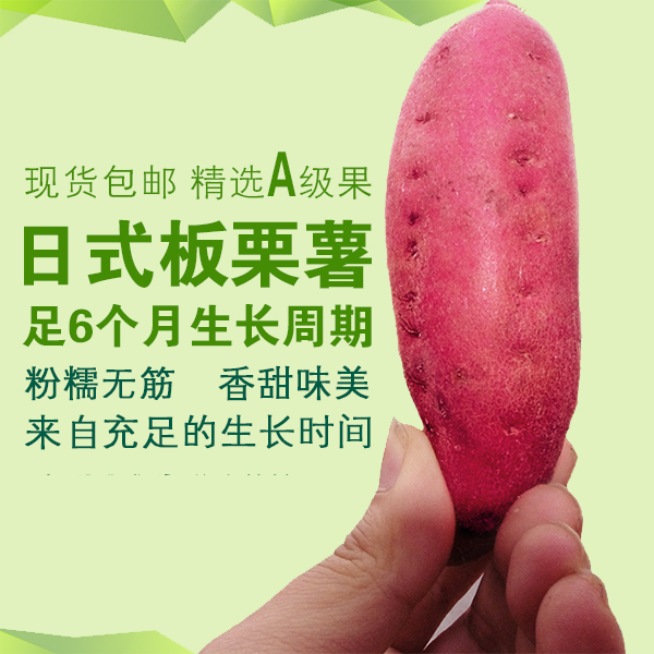 【1月中旬发货】海南富硒地瓜日式板栗小红薯新鲜番薯农沙地白薯