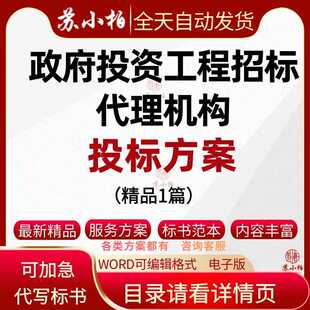 政府投资工程招标代理机构框架协议项目投标服务方案代写技术标