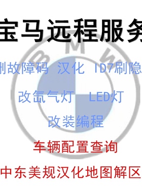 适用于宝马MINI刷隐藏汉化中文系统升级故障码屏蔽GPF程序MP刹车