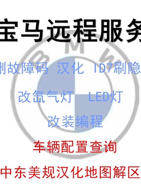 适用于宝马MINI刷隐藏汉化中文系统升级故障码屏蔽GPF程序MP刹车