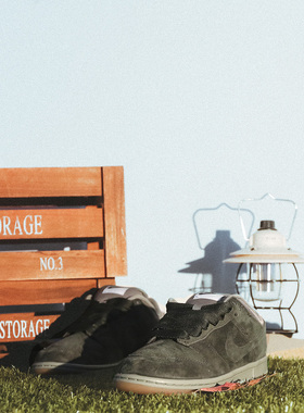 耐克Nike Dunk SB Dunk男板鞋/休闲鞋HJ0367-301