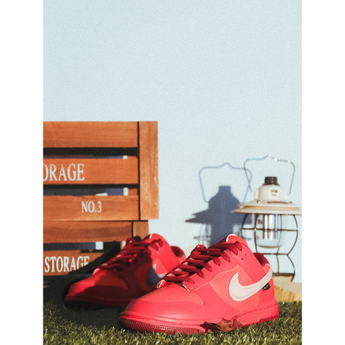 NIKE耐克DUNKLOWGTX男板鞋