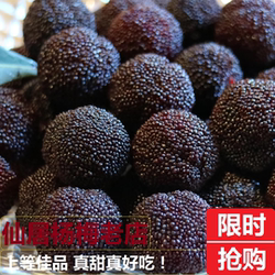 【现货7A特甜】正宗高山仙居东魁杨梅 当季新鲜大杨梅水果现摘