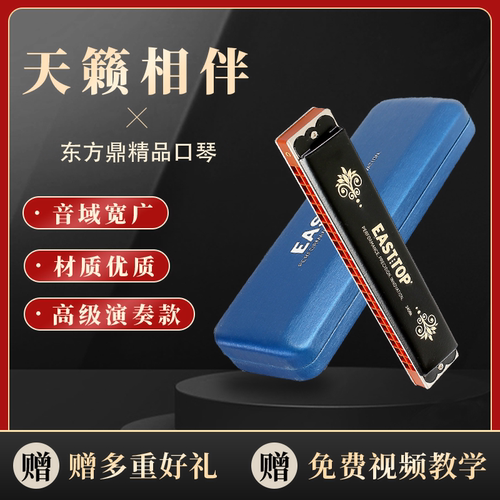 口琴24孔复音c调入门t2406k