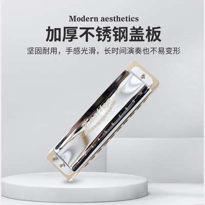 东方鼎T008布鲁斯蓝调十孔口琴