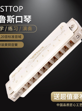 东方鼎EAST TOP蓝调布鲁斯十孔口琴10孔初学008K升级T008L