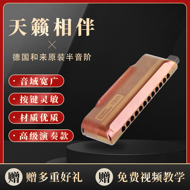 爵士动漫新手入门专业半音阶口琴